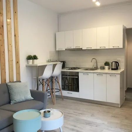 Lofty Near Old Town, Near Bar, Kitchen, With Washer 부쿠레슈티