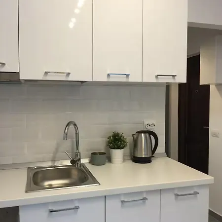 Lofty Near Old Town, Near Bar, Kitchen, With Washer 부쿠레슈티